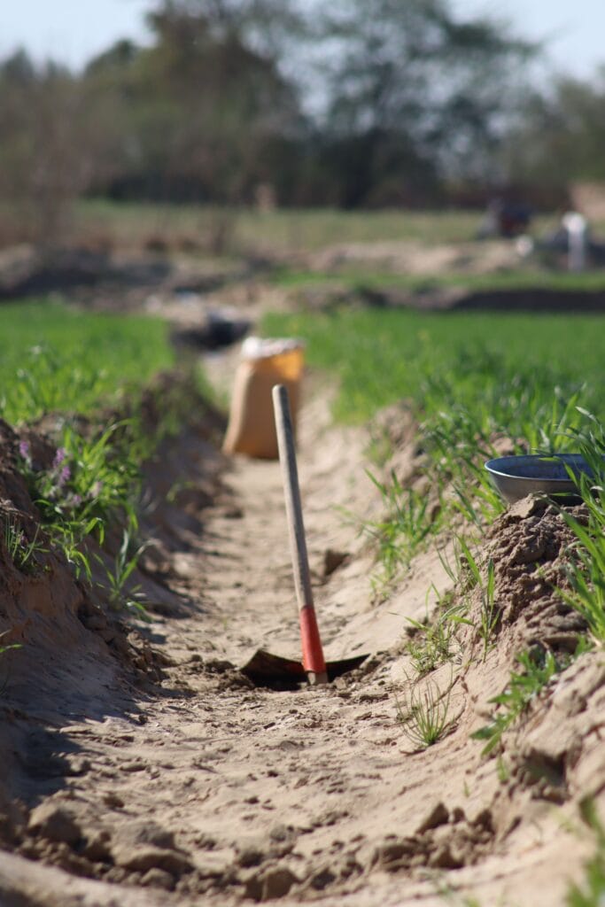 Amazigh Agriculture Targa