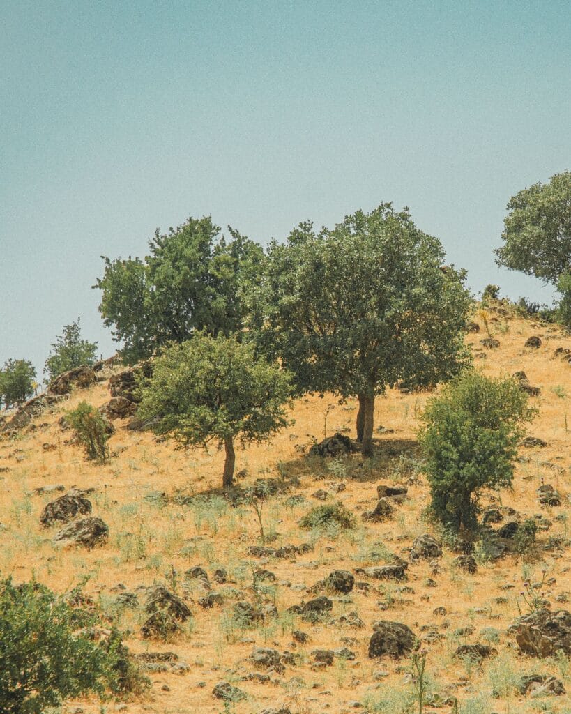 Amazigh culture in the Sous Valley