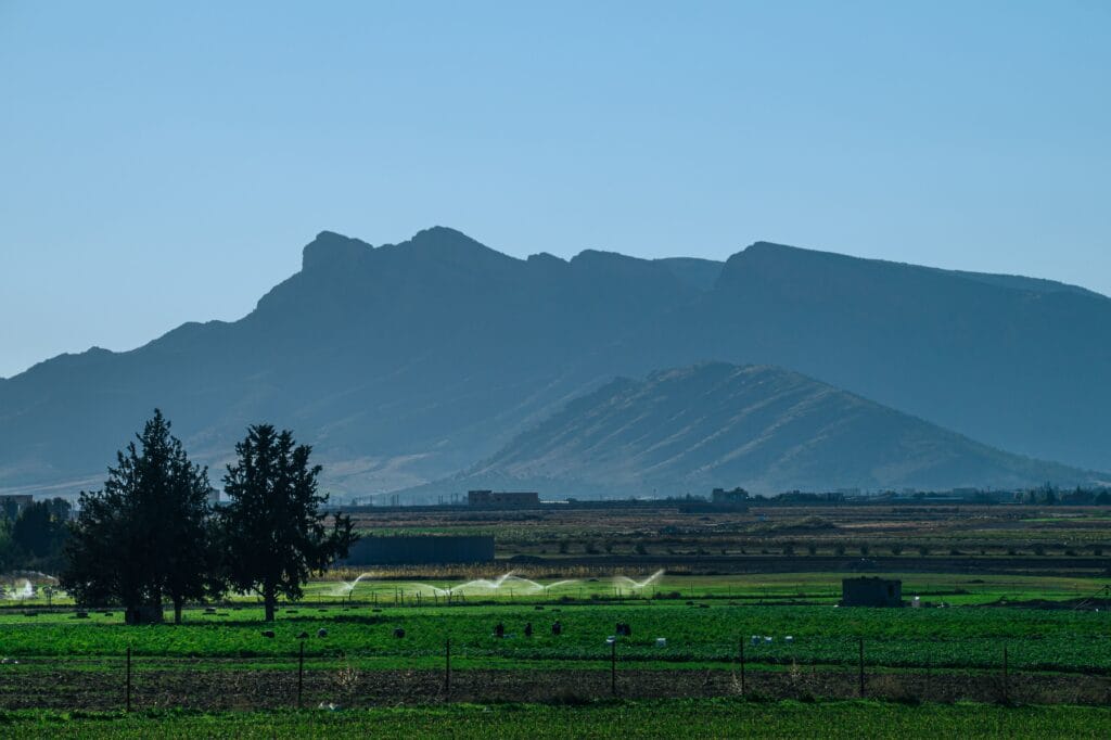 Amazigh farming