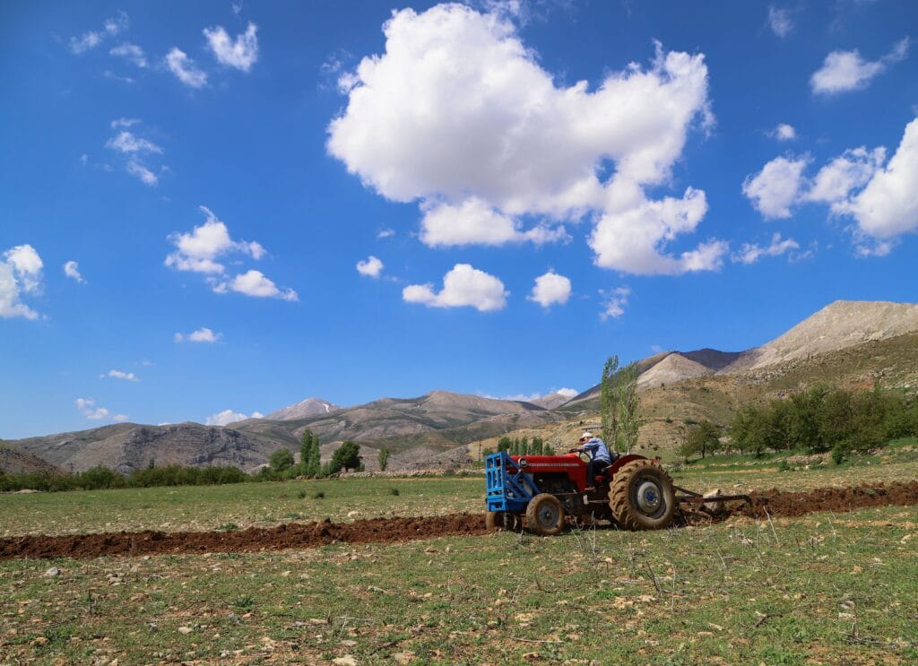 Moroccan agriculture