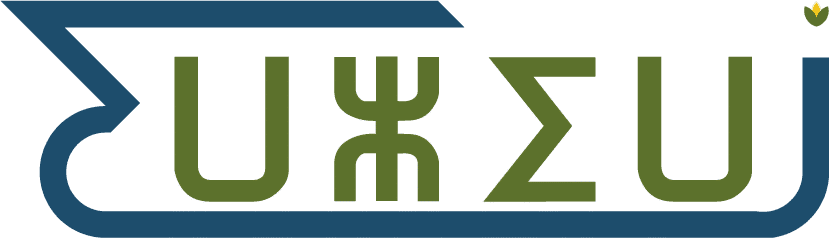 iwziwn logo