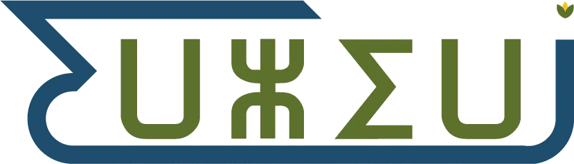 iwziwn logo