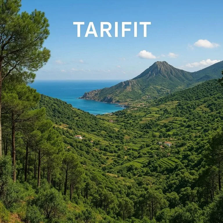 Tarifiyt (Rifian Amazigh): Language of Northern Morocco