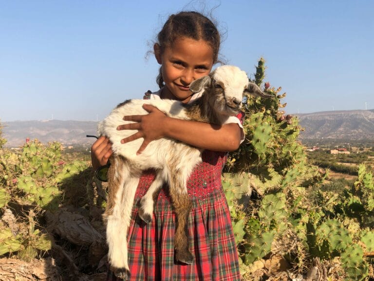 Berber Amazigh lifestyle