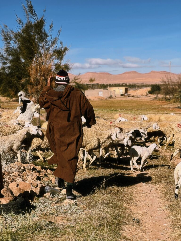 Amazigh society lifestyle