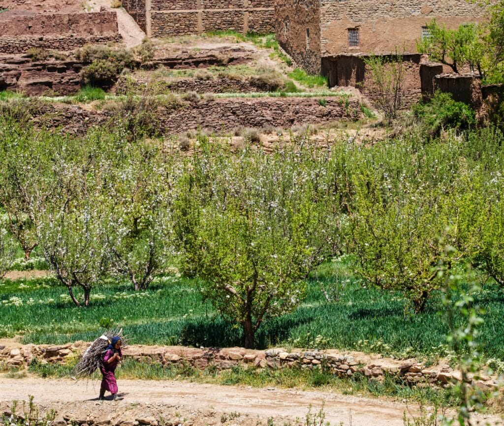 Anti-Atlas Amazigh culture