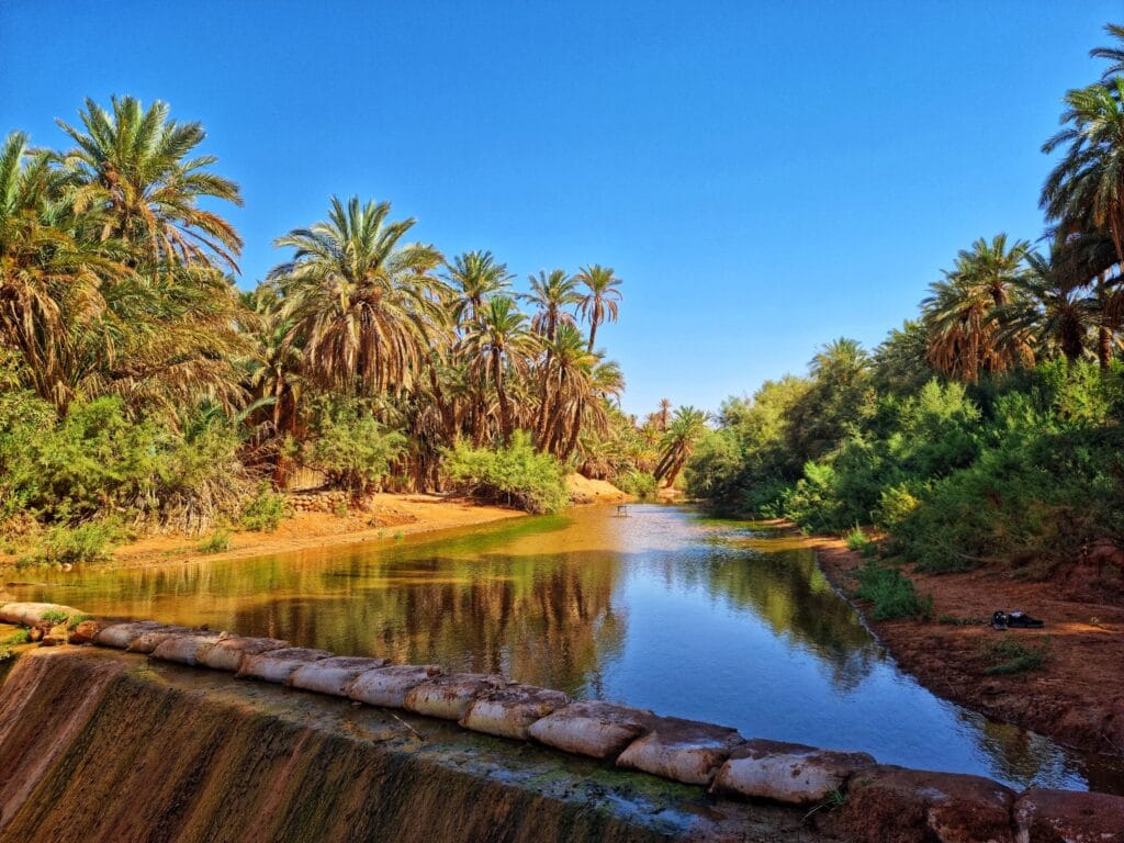 Kasbah Skoura Oasis