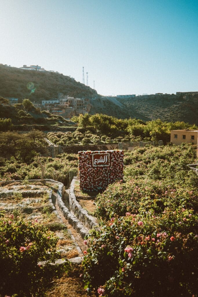 Rose Valley