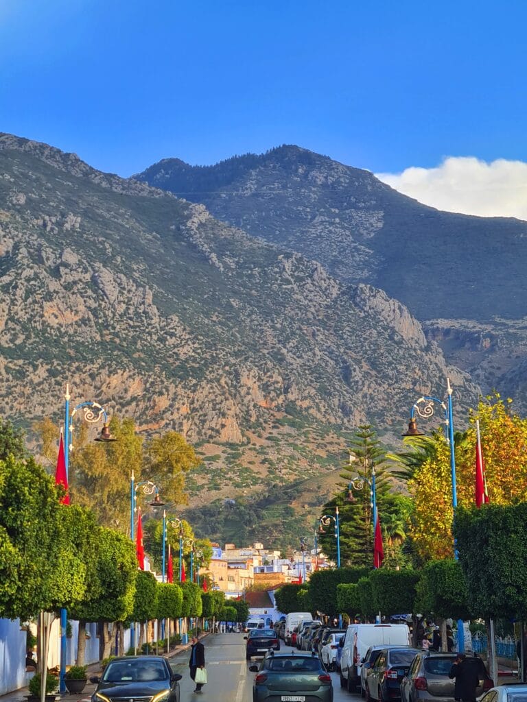 غابة جبال الريف